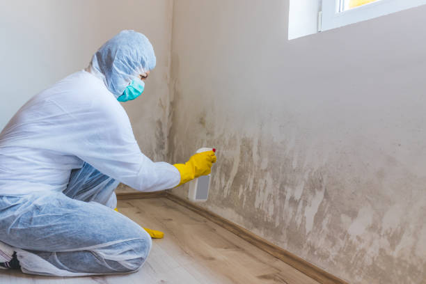 Hvac And Air Duct Mold Remediation inspection of HVAC system in Maple Shade